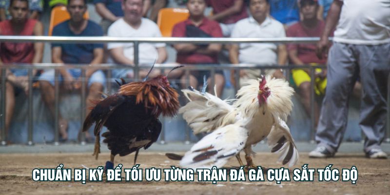 Chuẩn bị kỹ để tối ưu từng trận đá gà cựa sắt tốc độ